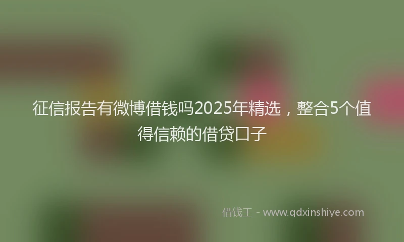 征信报告有微博借钱吗2025年精选，整合5个值得信赖的借贷口子