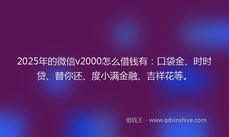 2025年的微信v2000怎么借钱有：口袋金、时时贷、替你还、度小满金融、吉祥花等。