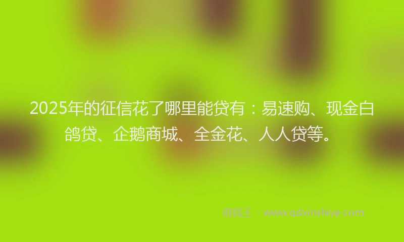 2025年的征信花了哪里能贷有：易速购、现金白鸽贷、企鹅商城、全金花、人人贷等。