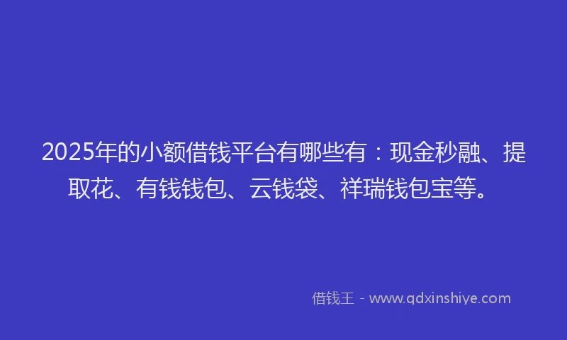 2025年的小额借钱平台有哪些有：现金秒融、提取花、有钱钱包、云钱袋、祥瑞钱包宝等。