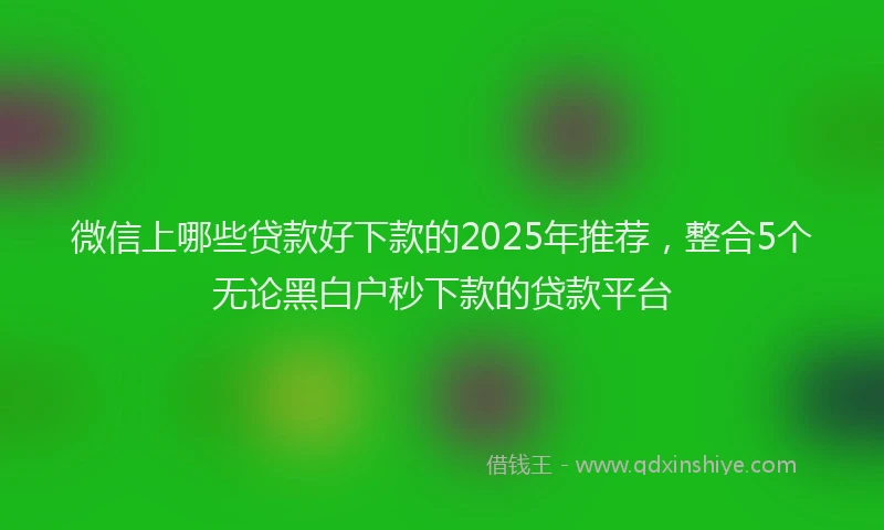 微信上哪些贷款好下款的2025年推荐，整合5个无论黑白户秒下款的贷款平台