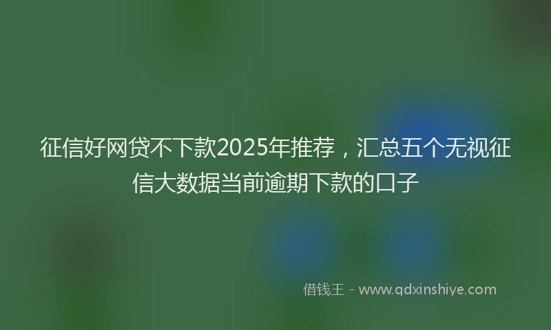 征信好网贷不下款2025年推荐，汇总五个无视征信大数据当前逾期下款的口子