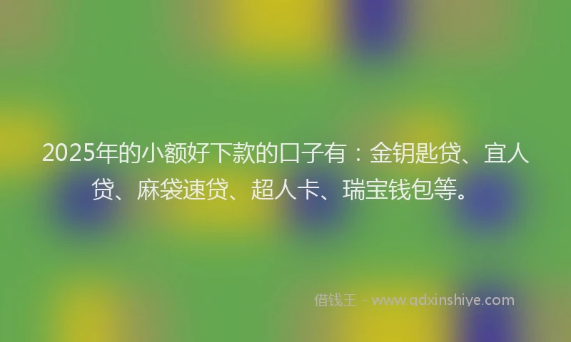 2025年的小额好下款的口子有：金钥匙贷、宜人贷、麻袋速贷、超人卡、瑞宝钱包等。