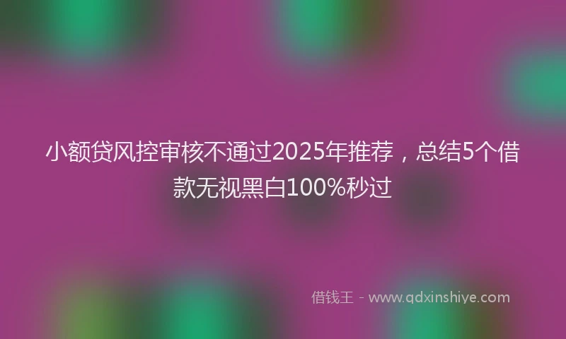 小额贷风控审核不通过2025年推荐，总结5个借款无视黑白100%秒过