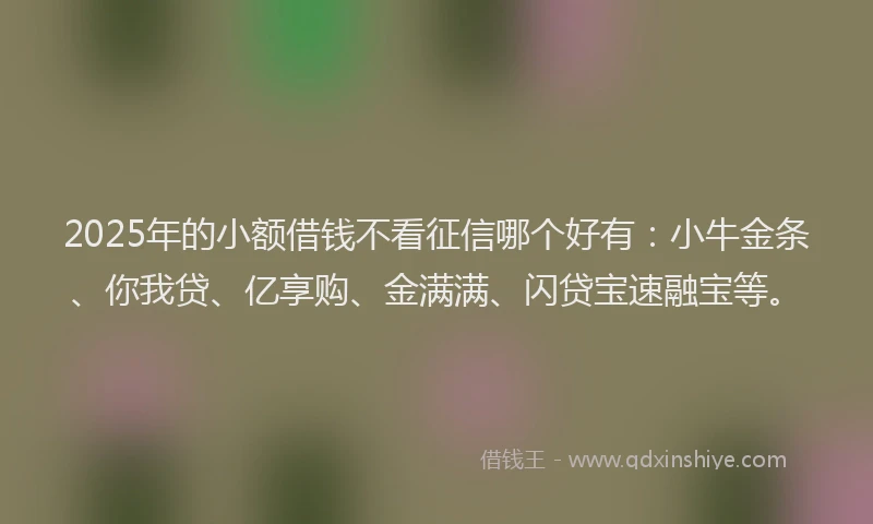 2025年的小额借钱不看征信哪个好有：小牛金条、你我贷、亿享购、金满满、闪贷宝速融宝等。