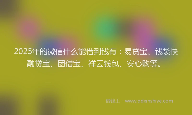 2025年的微信什么能借到钱有：易贷宝、钱袋快融贷宝、团借宝、祥云钱包、安心购等。