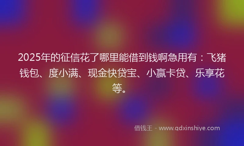 2025年的征信花了哪里能借到钱啊急用有：飞猪钱包、度小满、现金快贷宝、小赢卡贷、乐享花等。