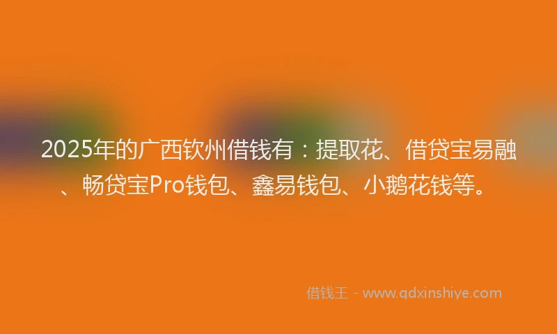 2025年的广西钦州借钱有：提取花、借贷宝易融、畅贷宝Pro钱包、鑫易钱包、小鹅花钱等。