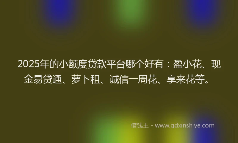 2025年的小额度贷款平台哪个好有：盈小花、现金易贷通、萝卜租、诚信一周花、享来花等。