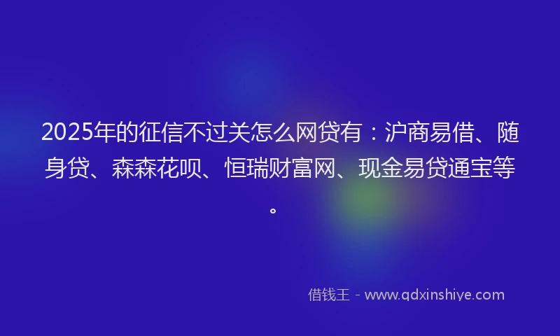 2025年的征信不过关怎么网贷有：沪商易借、随身贷、森森花呗、恒瑞财富网、现金易贷通宝等。
