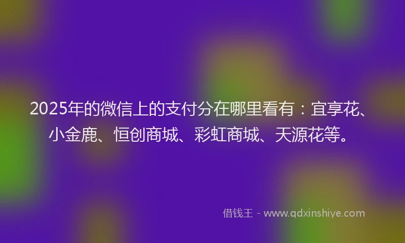 2025年的微信上的支付分在哪里看有：宜享花、小金鹿、恒创商城、彩虹商城、天源花等。