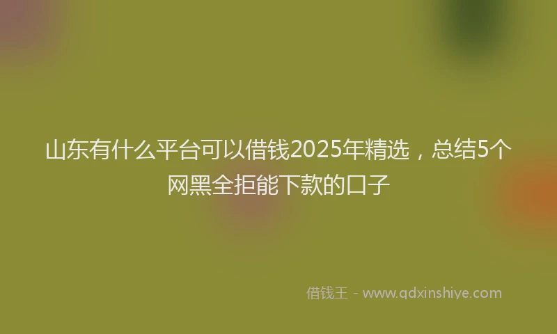 山东有什么平台可以借钱2025年精选，总结5个网黑全拒能下款的口子