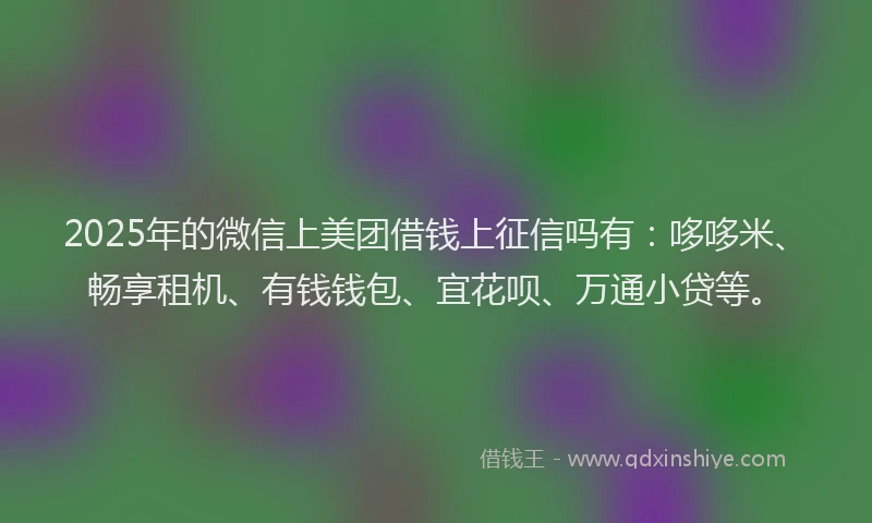 2025年的微信上美团借钱上征信吗有：哆哆米、畅享租机、有钱钱包、宜花呗、万通小贷等。