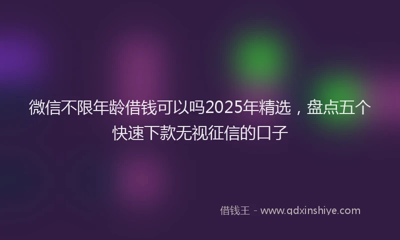 微信不限年龄借钱可以吗2025年精选，盘点五个快速下款无视征信的口子