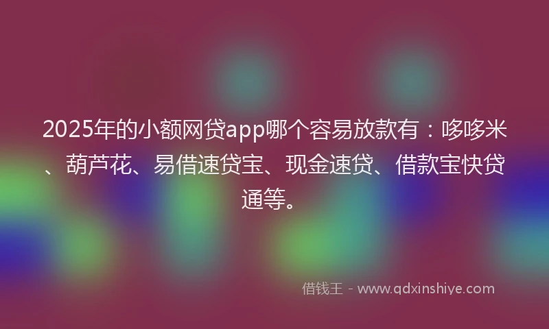 2025年的小额网贷app哪个容易放款有：哆哆米、葫芦花、易借速贷宝、现金速贷、借款宝快贷通等。
