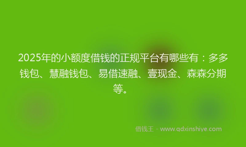 2025年的小额度借钱的正规平台有哪些有：多多钱包、慧融钱包、易借速融、壹现金、森森分期等。