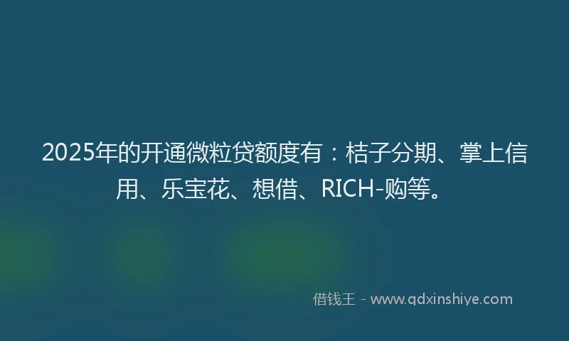 2025年的开通微粒贷额度有：桔子分期、掌上信用、乐宝花、想借、RICH-购等。