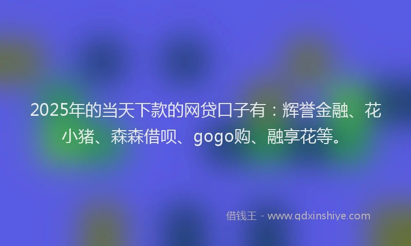 2025年的当天下款的网贷口子有：辉誉金融、花小猪、森森借呗、gogo购、融享花等。