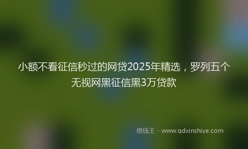 小额不看征信秒过的网贷2025年精选，罗列五个无视网黑征信黑3万贷款