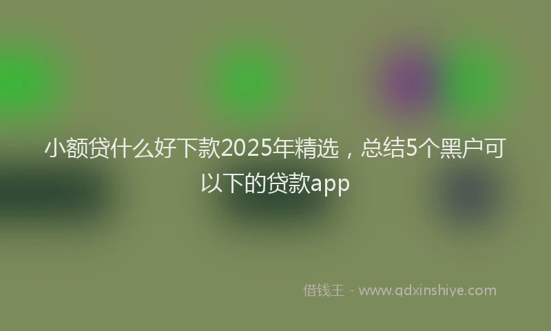 小额贷什么好下款2025年精选，总结5个黑户可以下的贷款app
