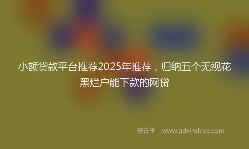 小额贷款平台推荐2025年推荐，归纳五个无视花黑烂户能下款的网贷