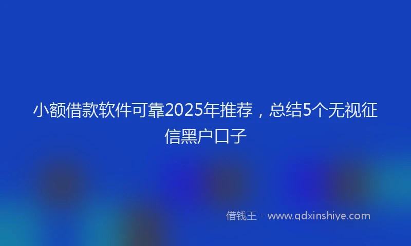 小额借款软件可靠2025年推荐，总结5个无视征信黑户口子