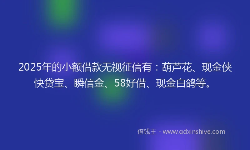 2025年的小额借款无视征信有：葫芦花、现金侠快贷宝、瞬信金、58好借、现金白鸽等。