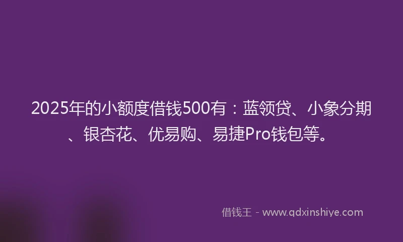 2025年的小额度借钱500有：蓝领贷、小象分期、银杏花、优易购、易捷Pro钱包等。