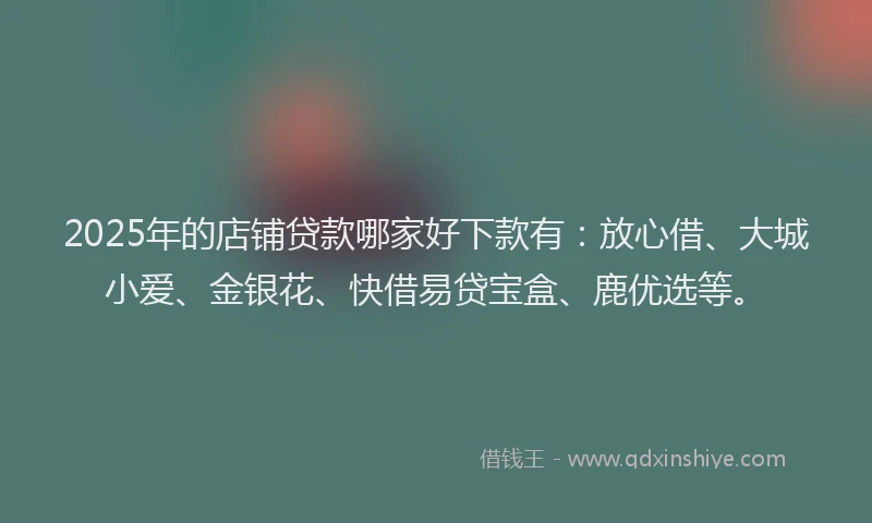 2025年的店铺贷款哪家好下款有：放心借、大城小爱、金银花、快借易贷宝盒、鹿优选等。