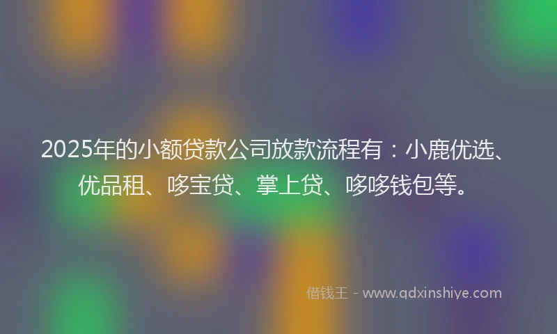 2025年的小额贷款公司放款流程有：小鹿优选、优品租、哆宝贷、掌上贷、哆哆钱包等。