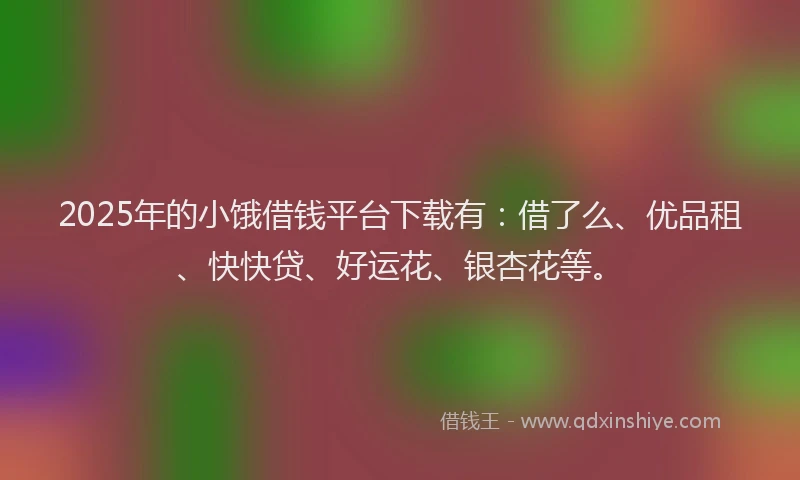 2025年的小饿借钱平台下载有：借了么、优品租、快快贷、好运花、银杏花等。