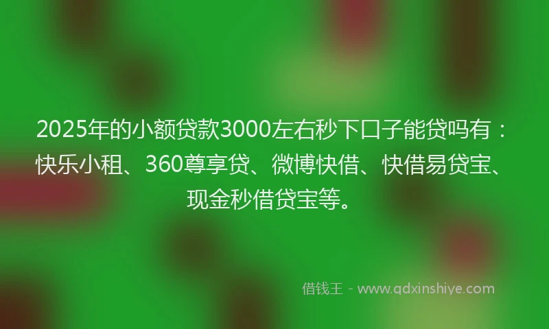 2025年的小额贷款3000左右秒下口子能贷吗有：快乐小租、360尊享贷、微博快借、快借易贷宝、现金秒借贷宝等。
