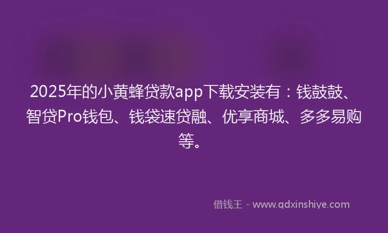 2025年的小黄蜂贷款app下载安装有：钱鼓鼓、智贷Pro钱包、钱袋速贷融、优享商城、多多易购等。