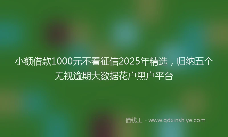 小额借款1000元不看征信2025年精选，归纳五个无视逾期大数据花户黑户平台
