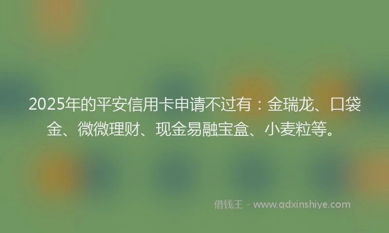 2025年的平安信用卡申请不过有：金瑞龙、口袋金、微微理财、现金易融宝盒、小麦粒等。