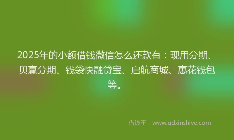 2025年的小额借钱微信怎么还款有：现用分期、贝赢分期、钱袋快融贷宝、启航商城、惠花钱包等。