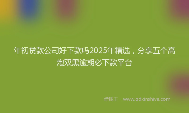 年初贷款公司好下款吗2025年精选，分享五个高炮双黑逾期必下款平台