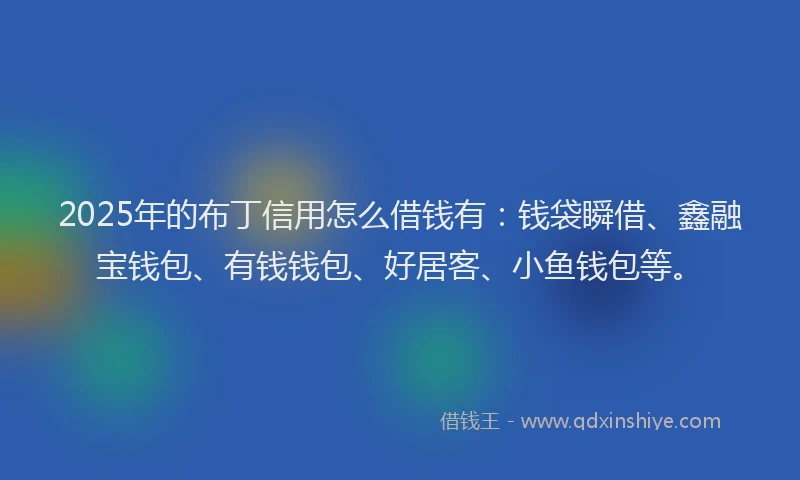 2025年的布丁信用怎么借钱有：钱袋瞬借、鑫融宝钱包、有钱钱包、好居客、小鱼钱包等。