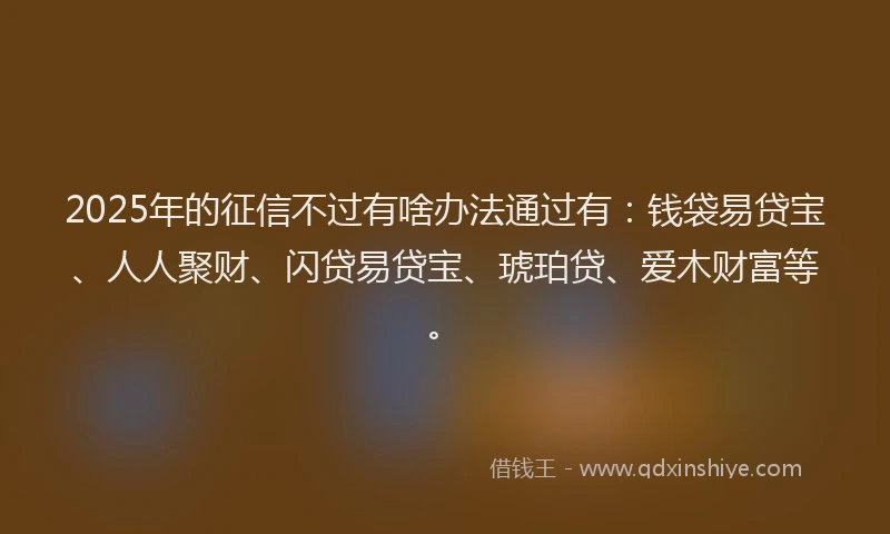 2025年的征信不过有啥办法通过有：钱袋易贷宝、人人聚财、闪贷易贷宝、琥珀贷、爱木财富等。