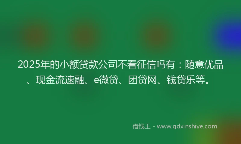 2025年的小额贷款公司不看征信吗有：随意优品、现金流速融、e微贷、团贷网、钱贷乐等。