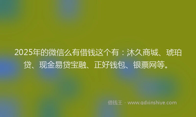 2025年的微信么有借钱这个有：沐久商城、琥珀贷、现金易贷宝融、正好钱包、银票网等。