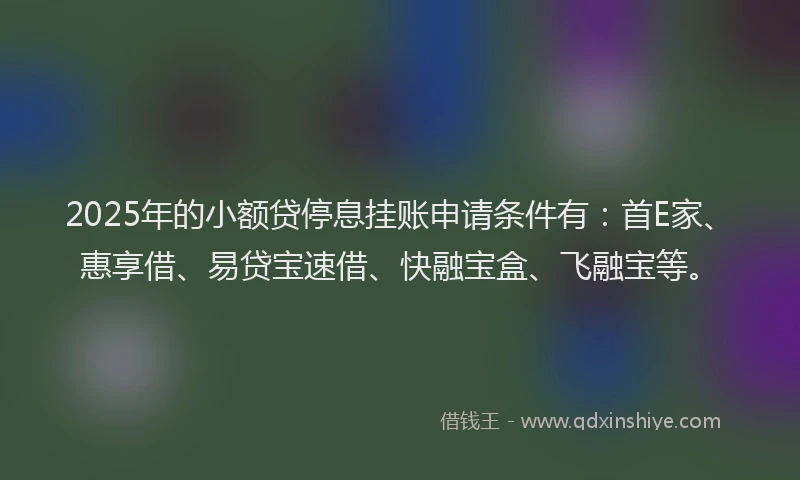 2025年的小额贷停息挂账申请条件有：首E家、惠享借、易贷宝速借、快融宝盒、飞融宝等。
