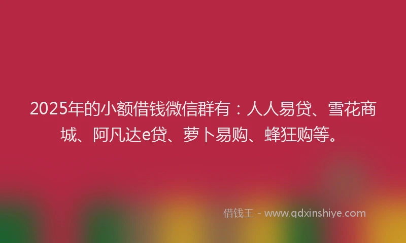 2025年的小额借钱微信群有：人人易贷、雪花商城、阿凡达e贷、萝卜易购、蜂狂购等。
