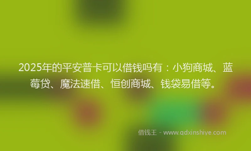 2025年的平安普卡可以借钱吗有：小狗商城、蓝莓贷、魔法速借、恒创商城、钱袋易借等。