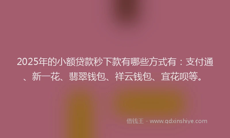 2025年的小额贷款秒下款有哪些方式有：支付通、新一花、翡翠钱包、祥云钱包、宜花呗等。