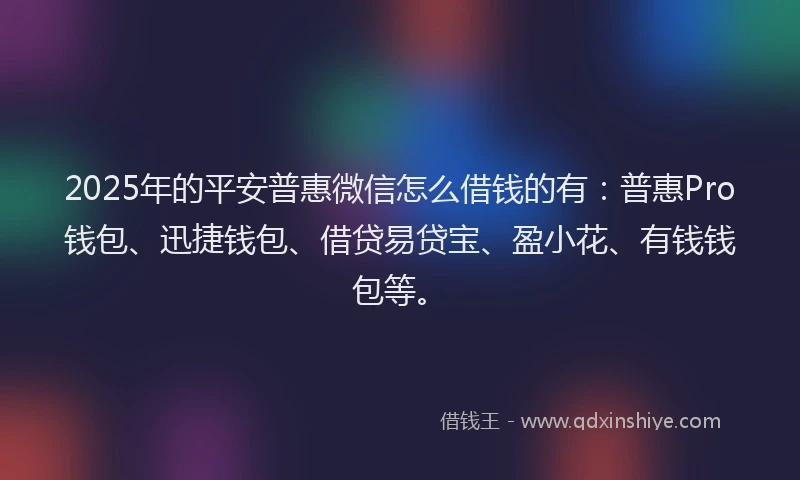 2025年的平安普惠微信怎么借钱的有：普惠Pro钱包、迅捷钱包、借贷易贷宝、盈小花、有钱钱包等。