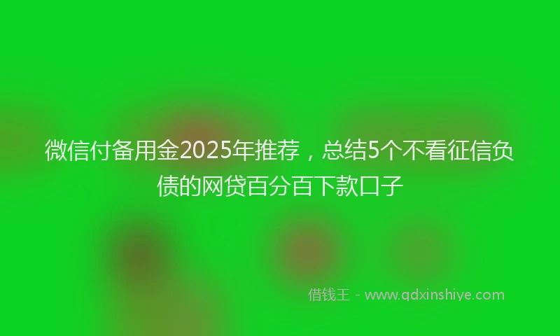 微信付备用金2025年推荐，总结5个不看征信负债的网贷百分百下款口子