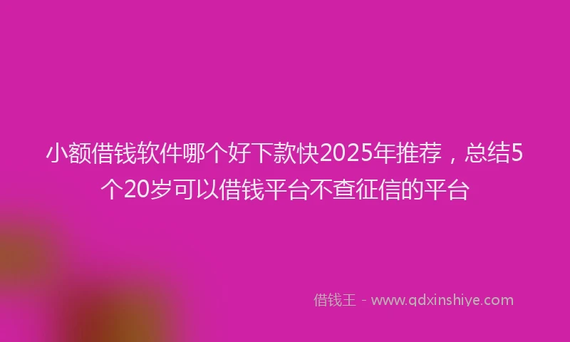 小额借钱软件哪个好下款快2025年推荐，总结5个20岁可以借钱平台不查征信的平台