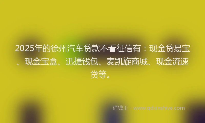 2025年的徐州汽车贷款不看征信有：现金贷易宝、现金宝盒、迅捷钱包、麦凯旋商城、现金流速贷等。