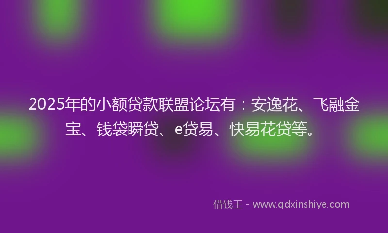 2025年的小额贷款联盟论坛有：安逸花、飞融金宝、钱袋瞬贷、e贷易、快易花贷等。
